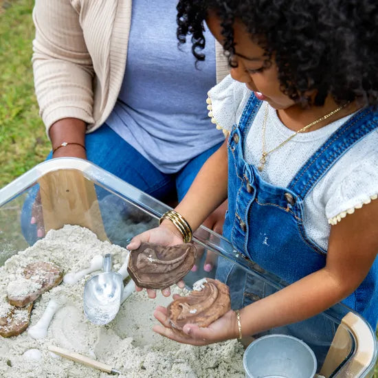Magnetic Matching Fossil Stones - Set of 6 - Modern Teaching Aids NZ