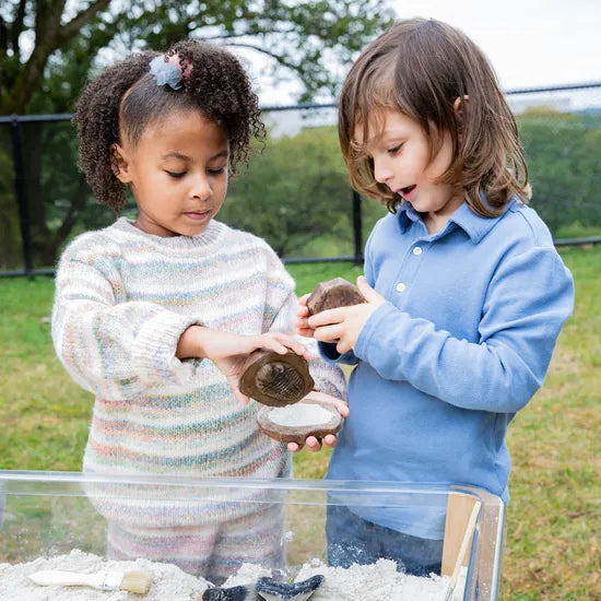 Magnetic Matching Fossil Stones - Set of 6 - Modern Teaching Aids NZ