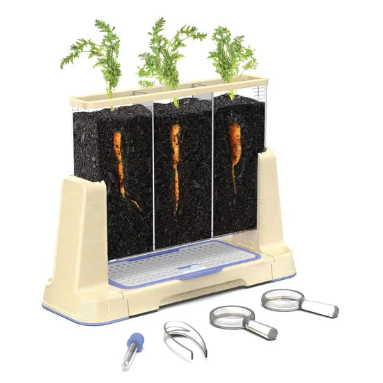 Explore and Discover 3 Section Root View Planter - Modern Teaching Aids NZ