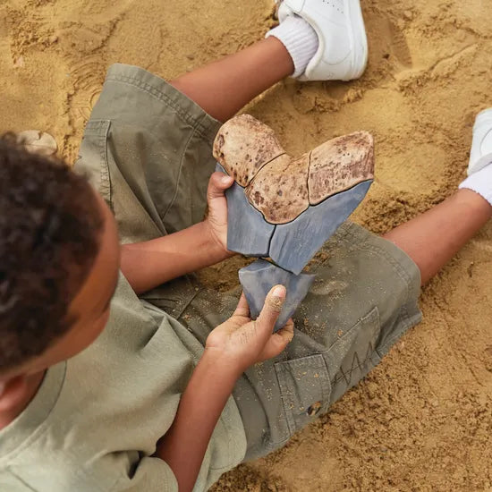 Magnetic Fossil 3D Puzzle - Megalodon Tooth - Modern Teaching Aids NZ