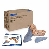 Magnetic Fossil 3D Puzzle - Megalodon Tooth - Modern Teaching Aids NZ