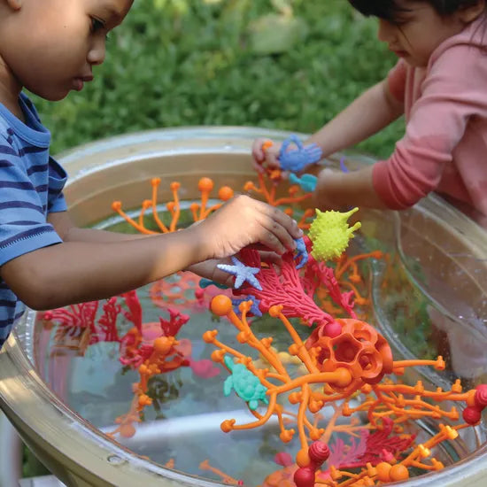 Coral Connections - 70 Pieces - Modern Teaching Aids NZ