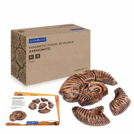 Magnetic Fossil 3D Puzzle - Ammonite - Modern Teaching Aids NZ
