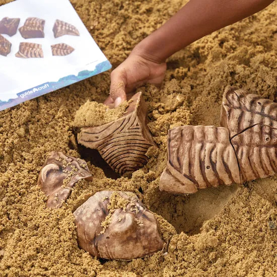 Magnetic Fossil 3D Puzzle - Trilobite - Modern Teaching Aids NZ