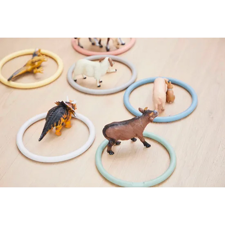 Activity Rings Nordic - Set of 6 - Modern Teaching Aids NZ