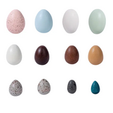 Wooden Sensory Bird Eggs 12 Pieces - Modern Teaching Aids NZ