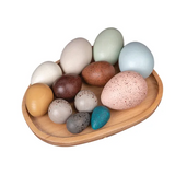 Wooden Sensory Bird Eggs 12 Pieces - Modern Teaching Aids NZ