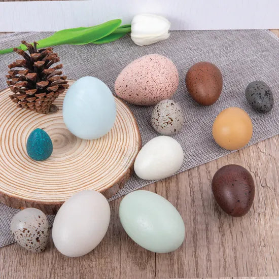 Wooden Sensory Bird Eggs 12 Pieces - Modern Teaching Aids NZ