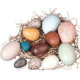 Wooden Sensory Bird Eggs 12 Pieces - Modern Teaching Aids NZ