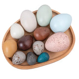 Wooden Sensory Bird Eggs 12 Pieces - Modern Teaching Aids NZ
