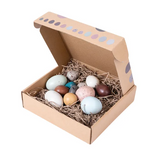 Wooden Sensory Bird Eggs 12 Pieces - Modern Teaching Aids NZ
