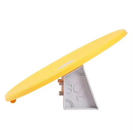 Multi Functional Balance Board - Modern Teaching Aids NZ