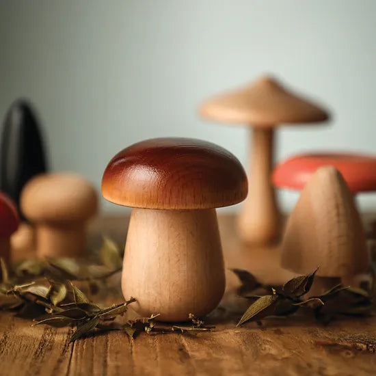 Wooden Sensory Mushrooms 15 Pieces - Modern Teaching Aids NZ