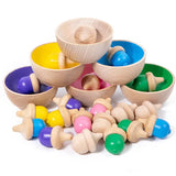 Colour Classify Toys 29pc - Modern Teaching Aids NZ
