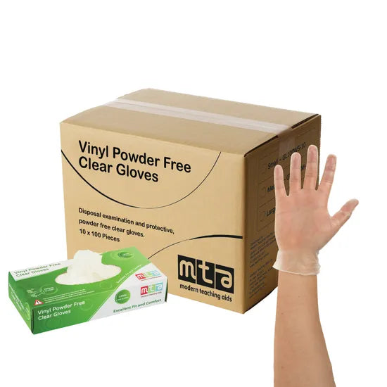 Vinyl Gloves Clear Large - 10 x Pack of 100