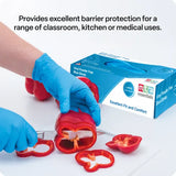 Vinyl Gloves Blue Large - 10 x Pack of 100 - Modern Teaching Aids NZ