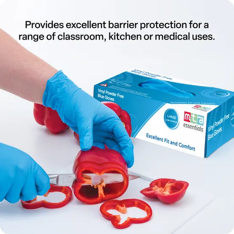 Vinyl Gloves Blue Large - 10 x Pack of 100