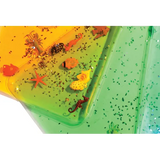 Teachables - Ocean Animal Sensory Pads - 4  Pieces - Modern Teaching Aids NZ