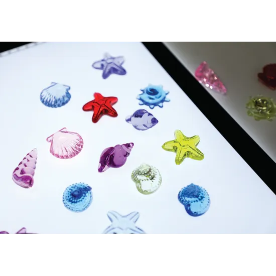 Teachables - Transparent Shells - 36 pieces - Modern Teaching Aids NZ