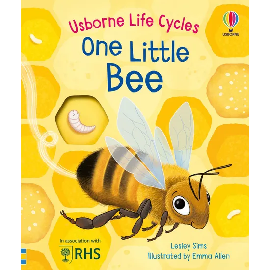 One Little Bee - Modern Teaching Aids NZ