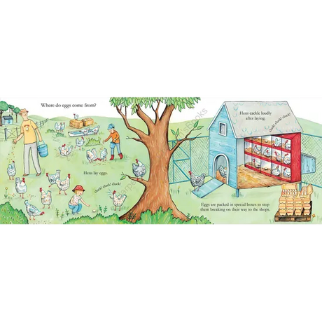 ABC Book Of Food - Modern Teaching Aids NZ