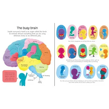 My First Body Book - Modern Teaching Aids NZ