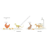 ABC Book of Dinosaurs - Modern Teaching Aids NZ