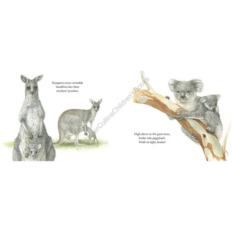 ABC Book of Animals - Modern Teaching Aids NZ
