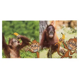 Wordless Books Set 18 Titles - Modern Teaching Aids NZ