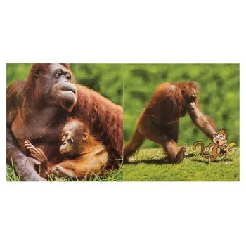 Wordless Books Set 18 Titles - Modern Teaching Aids NZ