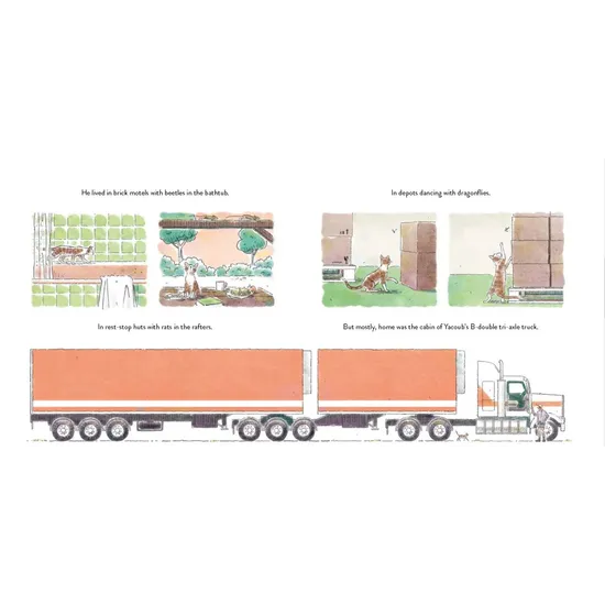 The Truck Cat - Modern Teaching Aids NZ