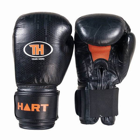 HART Train Hard Boxing Gloves 10oz - Modern Teaching Aids NZ
