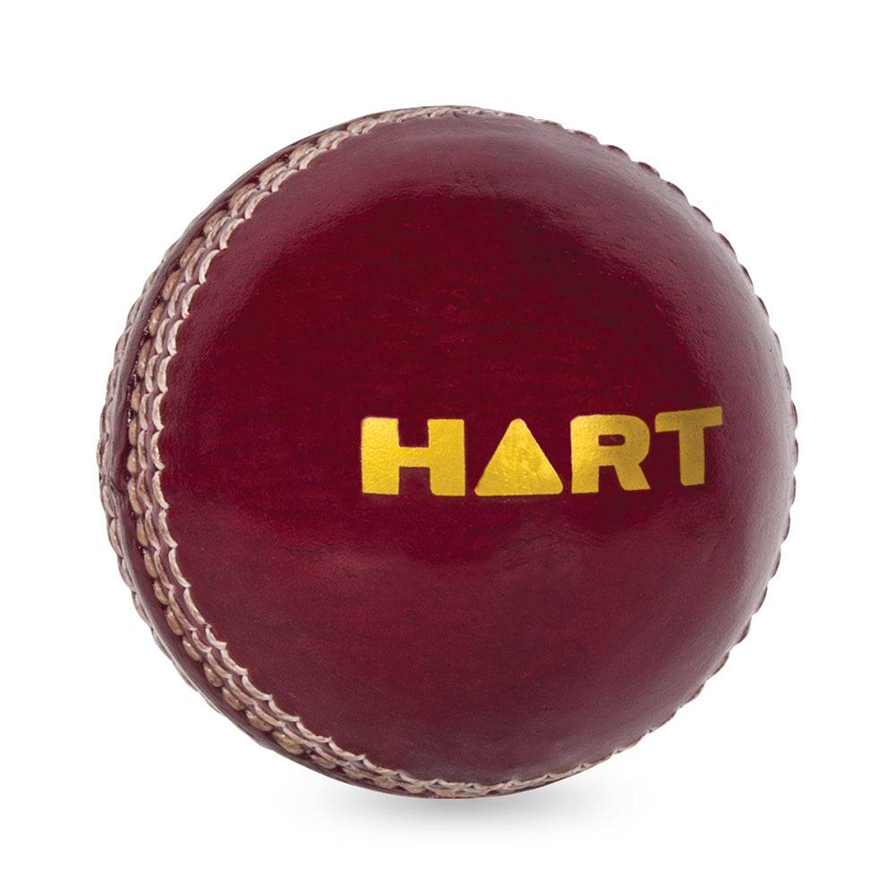 HART Attack Cricket Ball 156g - Modern Teaching Aids NZ