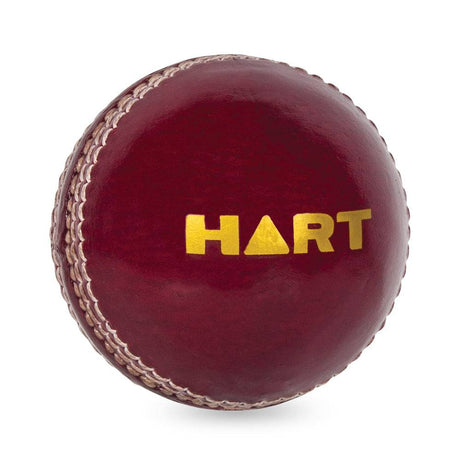 HART Attack Cricket Ball 156g - Modern Teaching Aids NZ