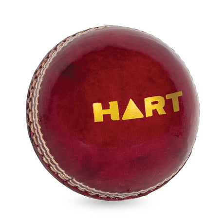 HART Ripper 2pc Cricket Ball 156g - Modern Teaching Aids NZ
