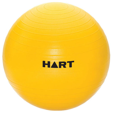 HART Swiss Ball 38cm - Modern Teaching Aids NZ