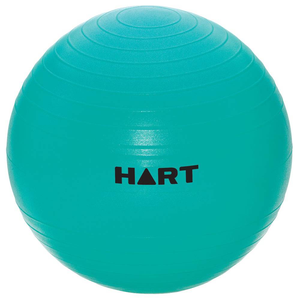 HART Swiss Ball 65cm - Modern Teaching Aids NZ
