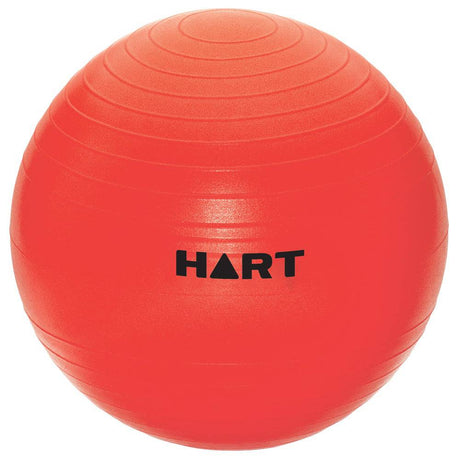 HART Swiss Ball 75cm - Modern Teaching Aids NZ