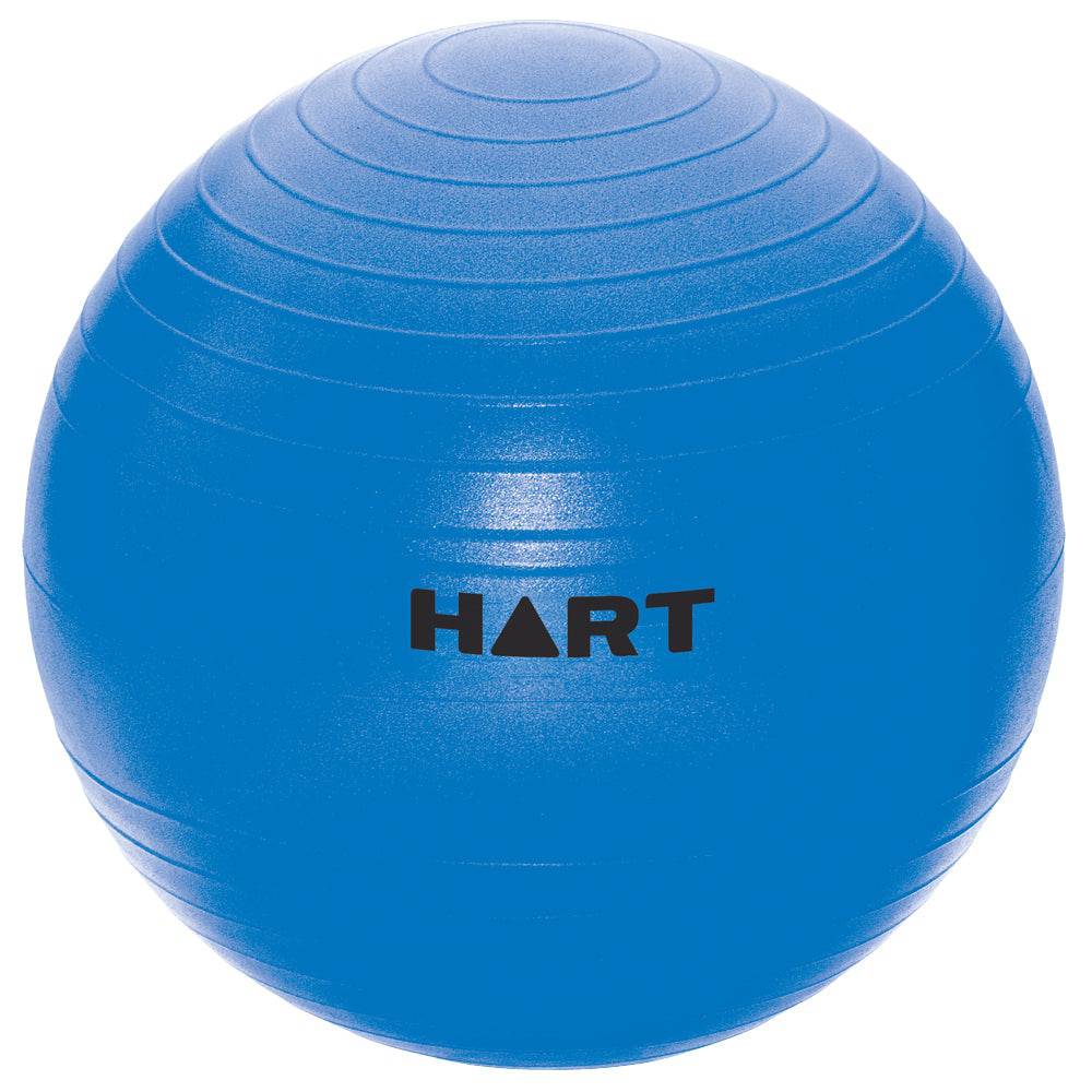 HART Swiss Ball 55cm - Modern Teaching Aids NZ