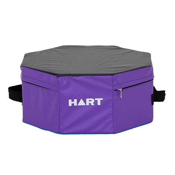 HART Active Step Purple - Modern Teaching Aids NZ