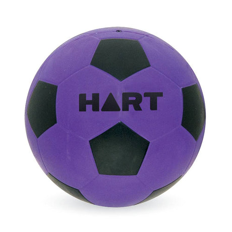 HART Colour Soccer Ball Size 4 - Purple - Modern Teaching Aids NZ