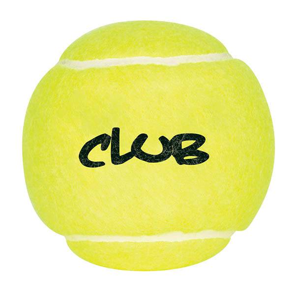 HART Club Tennis Balls Can of 4 - Modern Teaching Aids NZ