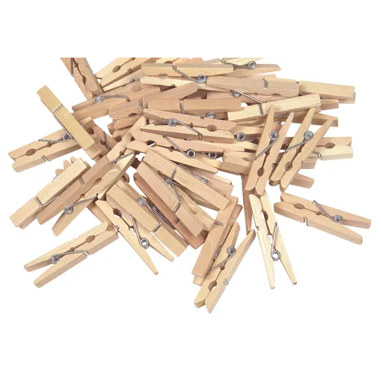 Wooden Mini Pegs - Pack of 48 - Modern Teaching Aids NZ