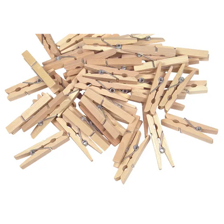Wooden Mini Pegs - Pack of 48 - Modern Teaching Aids NZ