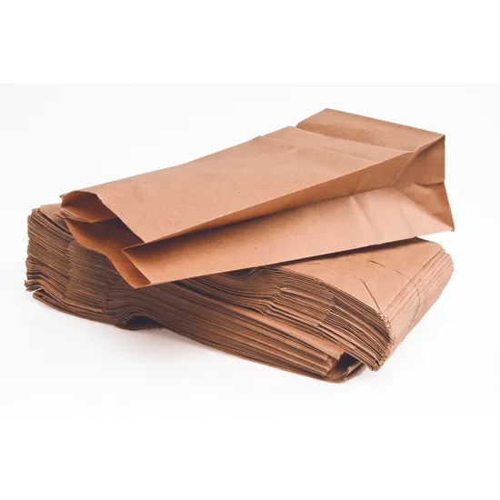 Paper Bags Natural 11.5 x 21.5 - Pack of 100 - Modern Teaching Aids NZ