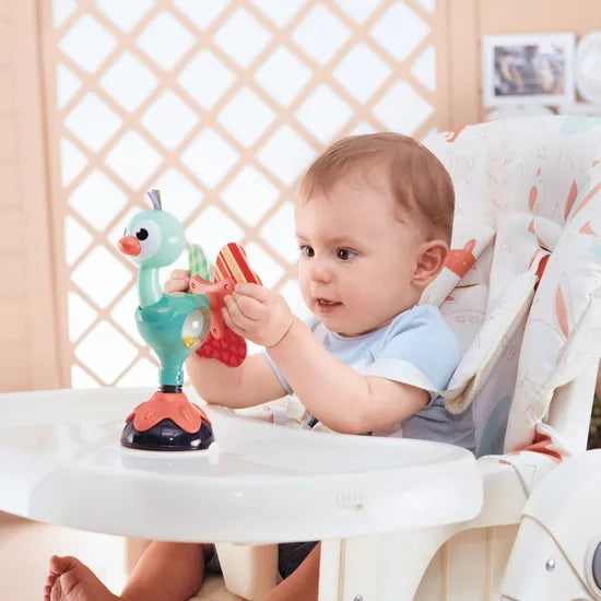 Cute Peacock Highchair Toy - Modern Teaching Aids NZ