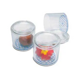 Invicta - Bug Pots, Set of 10 - Modern Teaching Aids NZ