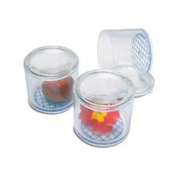 Invicta - Bug Pots, Set of 10 - Modern Teaching Aids NZ
