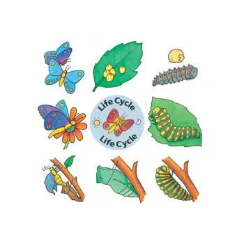 Lifecycle Jigsaws - Set of 4 - Modern Teaching Aids NZ