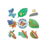 Lifecycle Jigsaws - Set of 4 - Modern Teaching Aids NZ